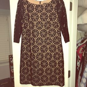 Lace Jessica Howard Dress (14P)